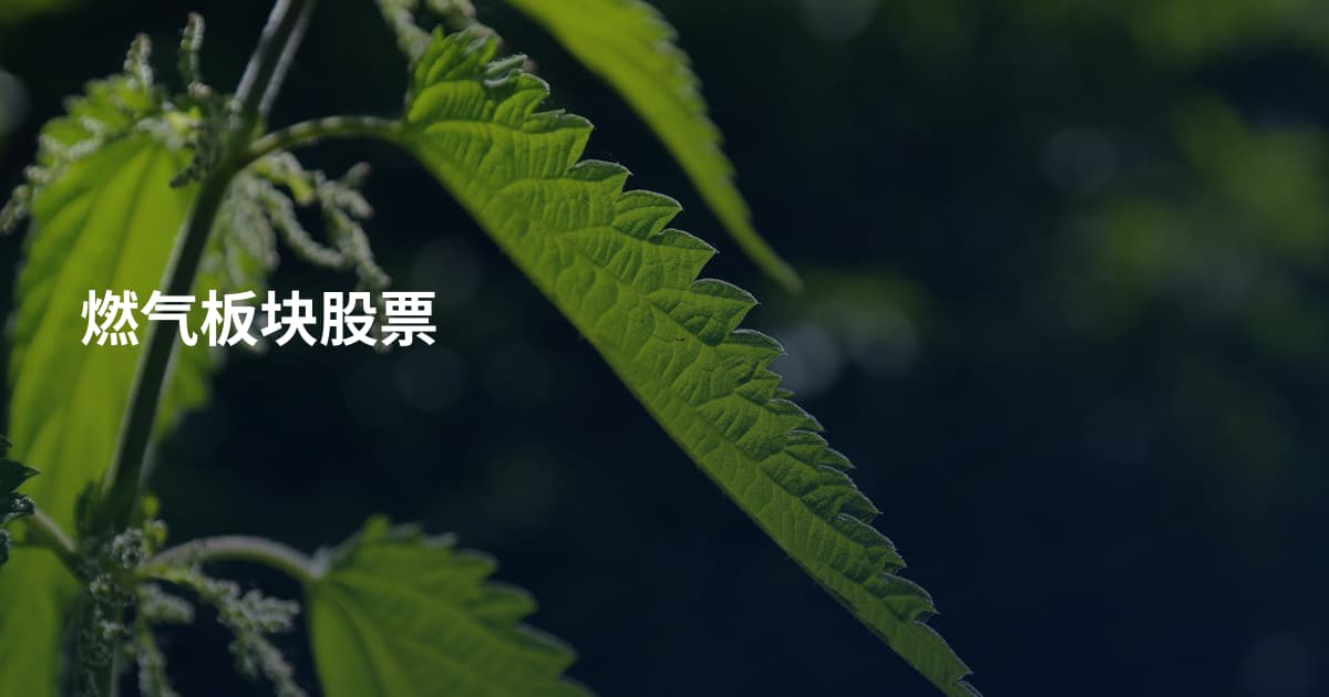燃气板块股票