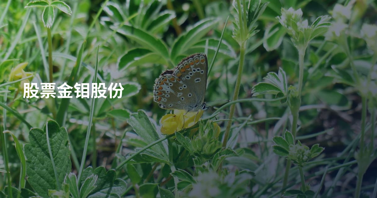 股票金钼股份