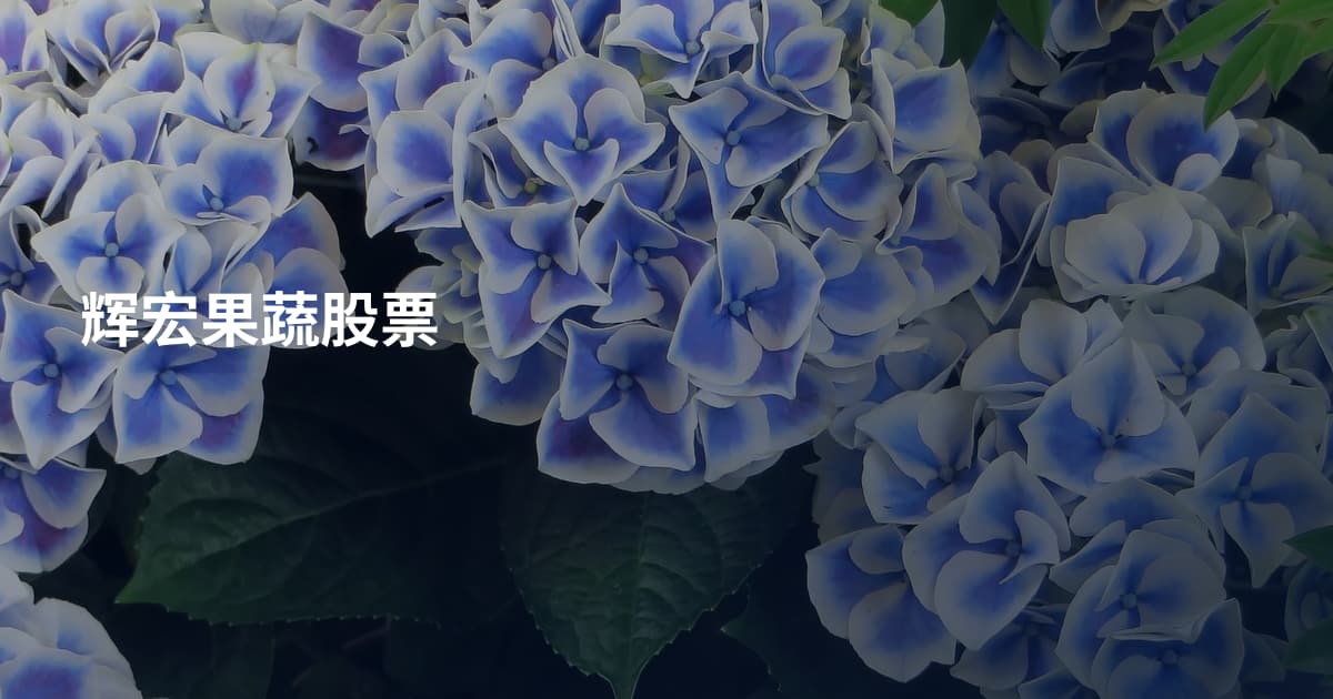 辉宏果蔬股票
