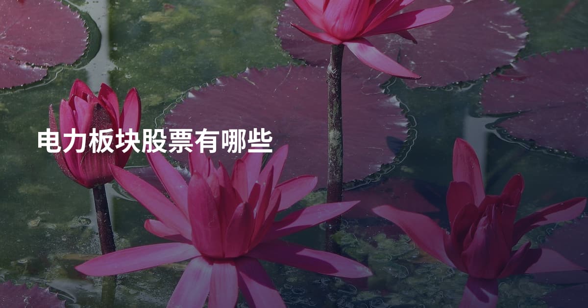 电力板块股票有哪些