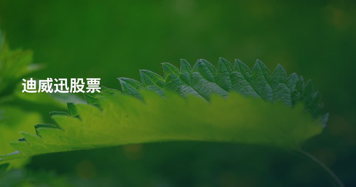 迪威迅股票
