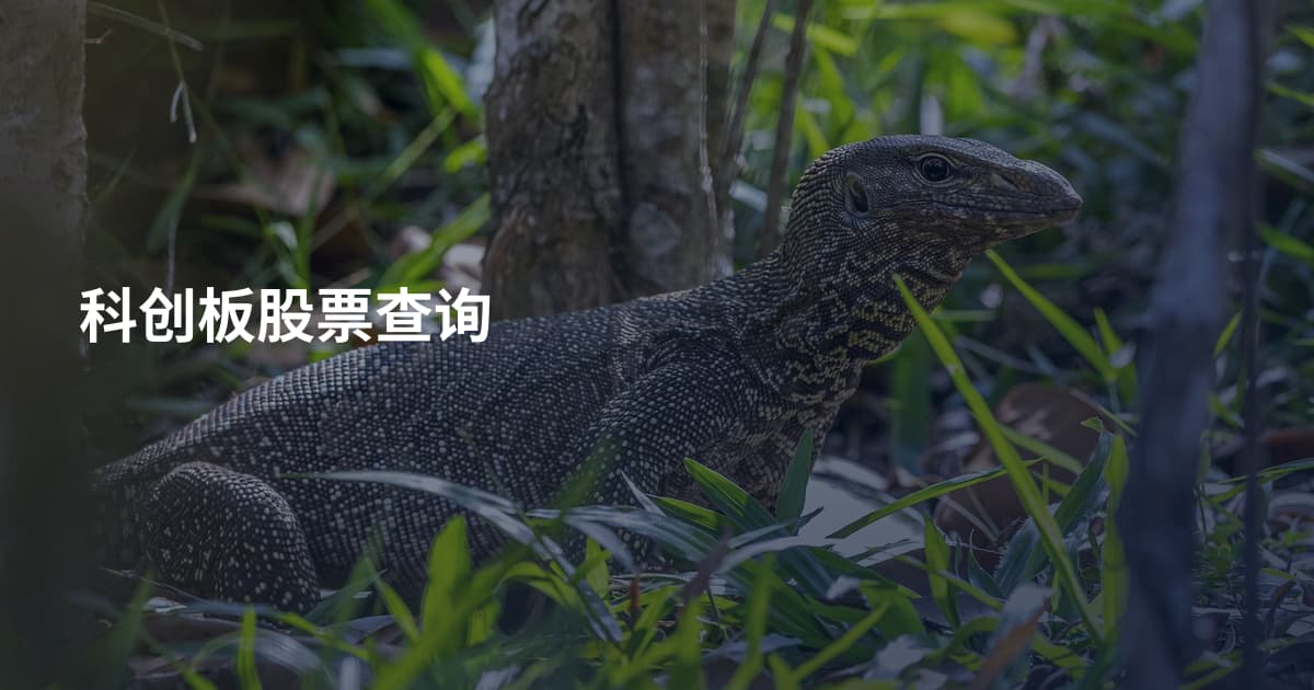 科创板股票查询