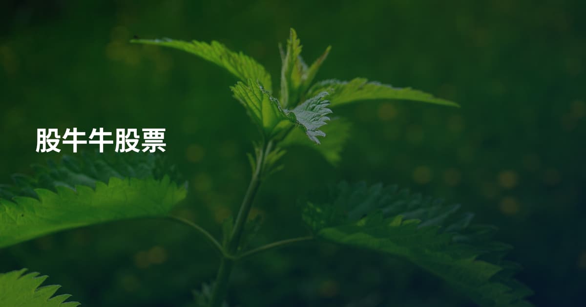 股牛牛股票