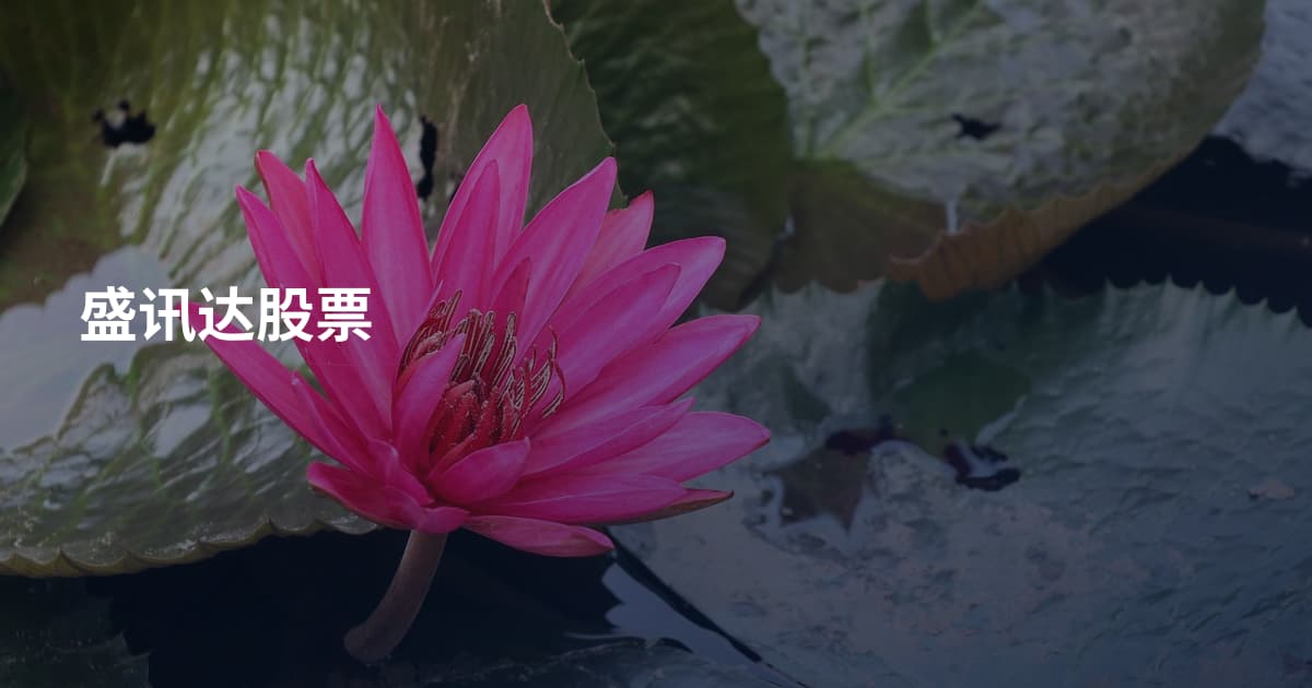 盛讯达股票