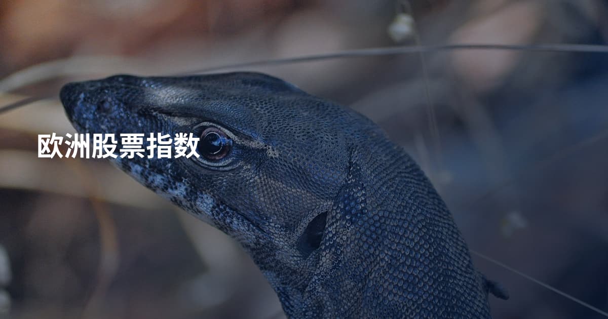 欧洲股票指数
