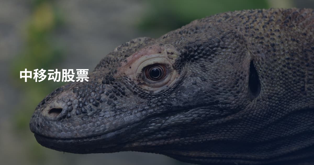 中移动股票