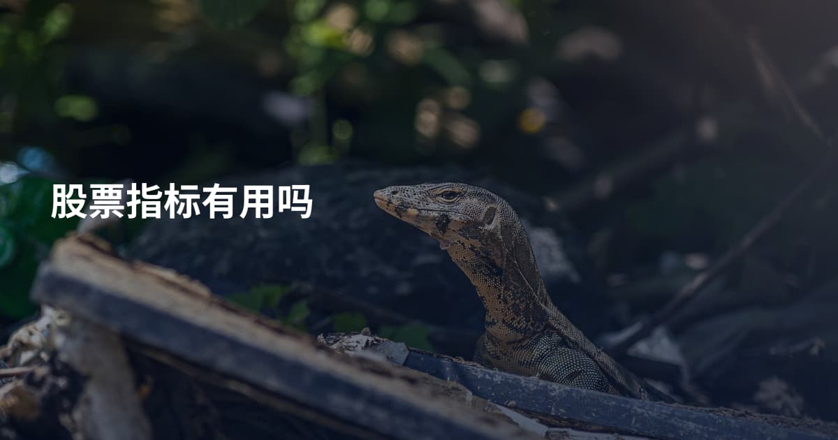 股票指标有用吗