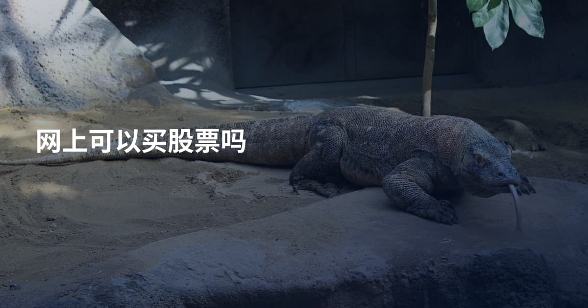 网上可以买股票吗