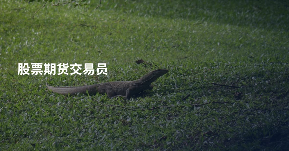 股票期货交易员