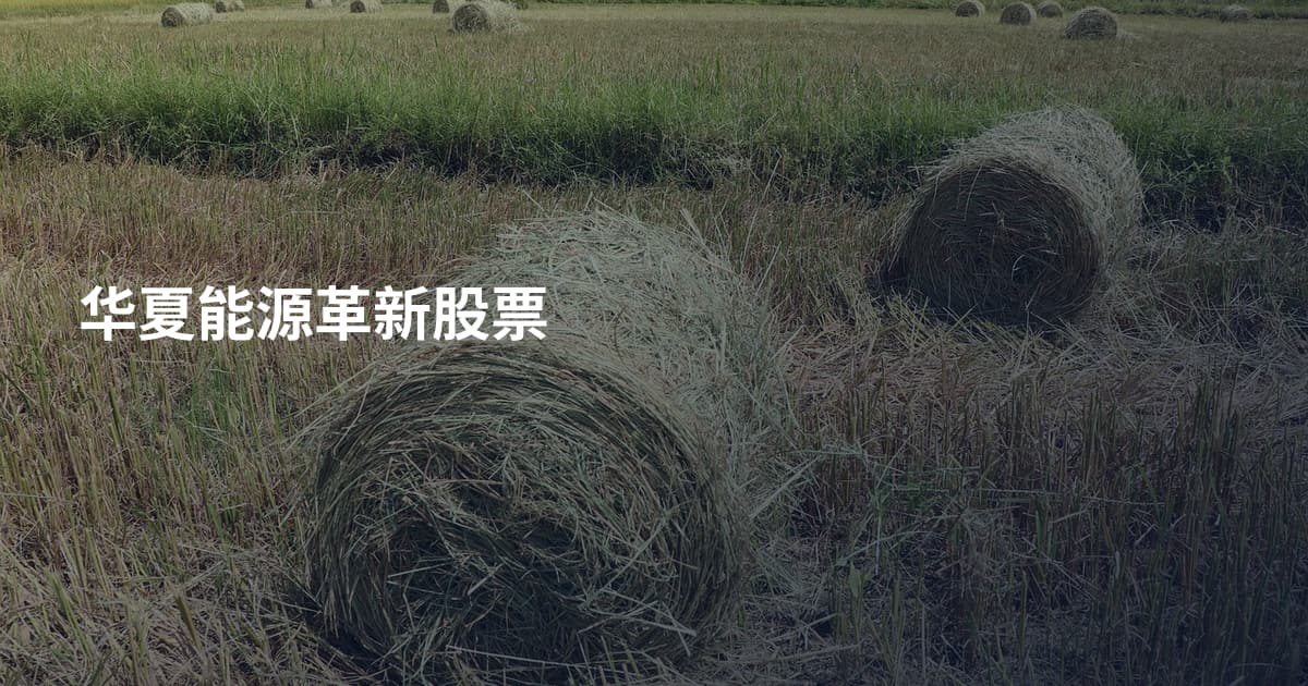 华夏能源革新股票