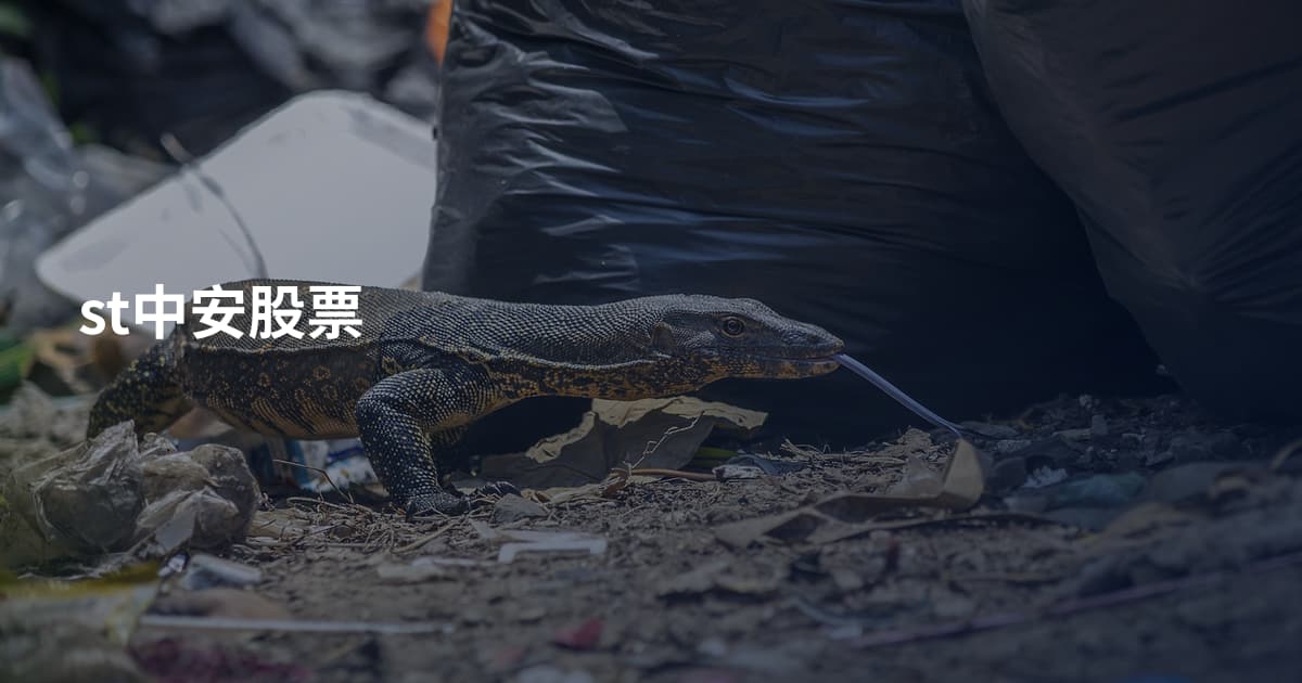 st中安股票