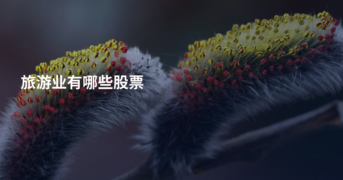 旅游业有哪些股票