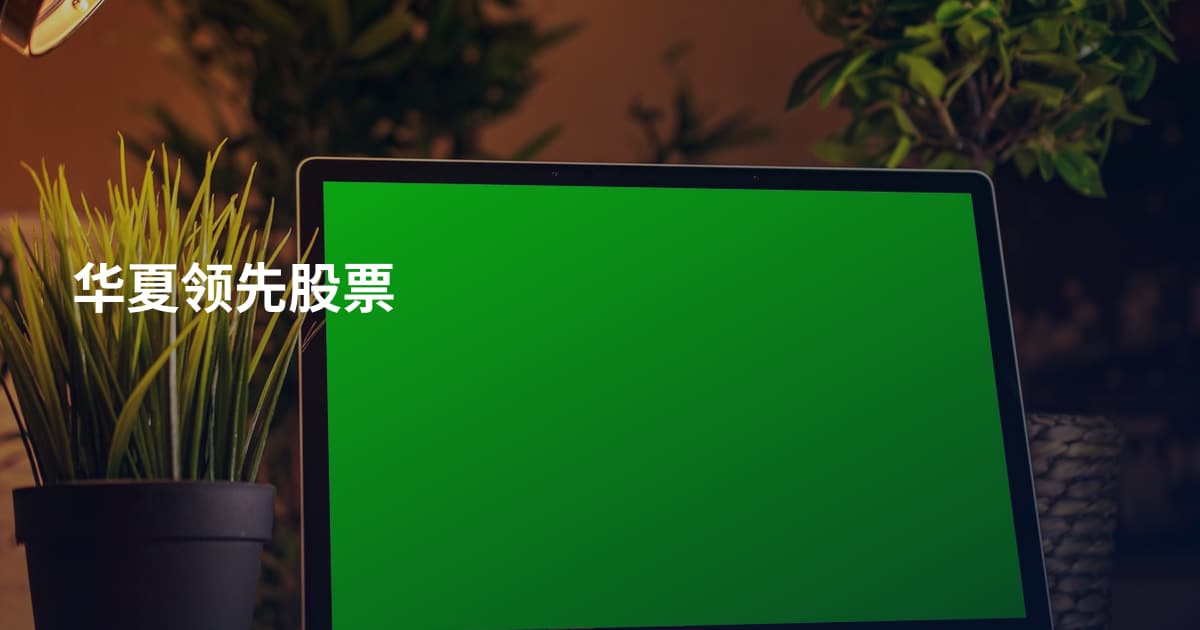华夏领先股票