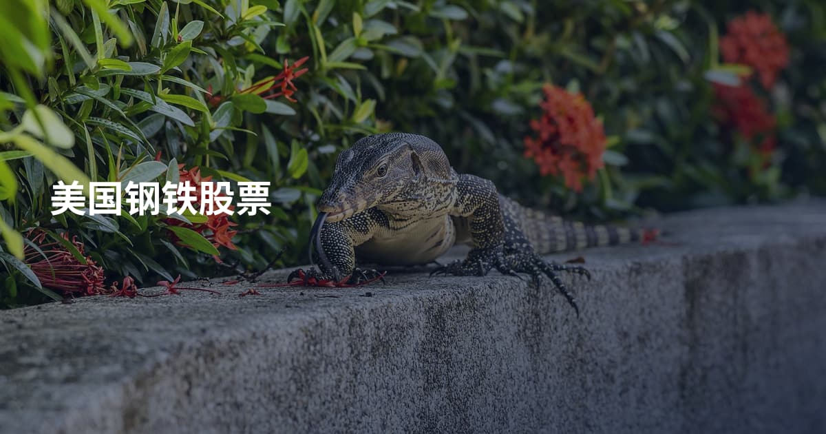 美国钢铁股票
