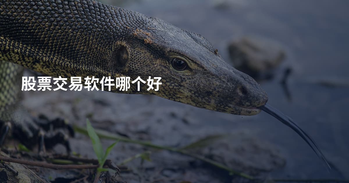 股票交易软件哪个好