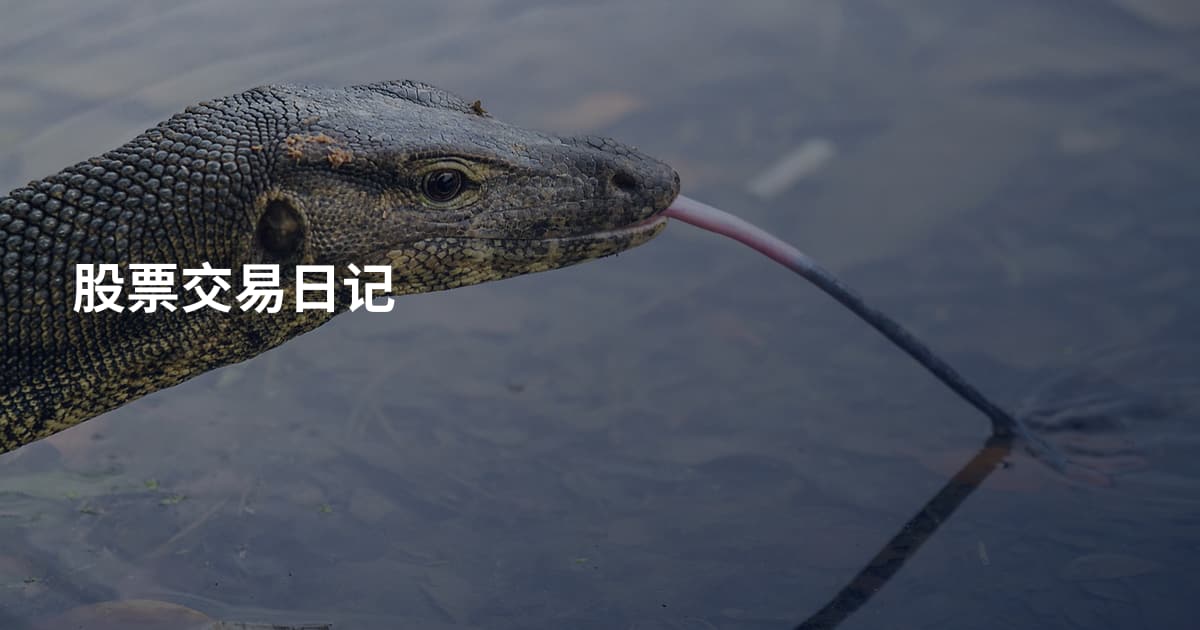 股票交易日记