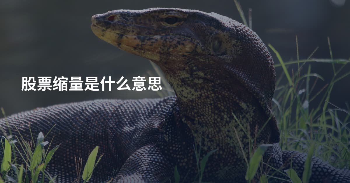 股票缩量是什么意思