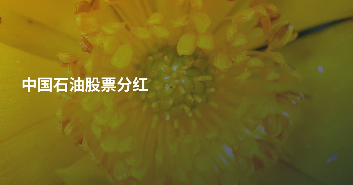 中国石油股票分红