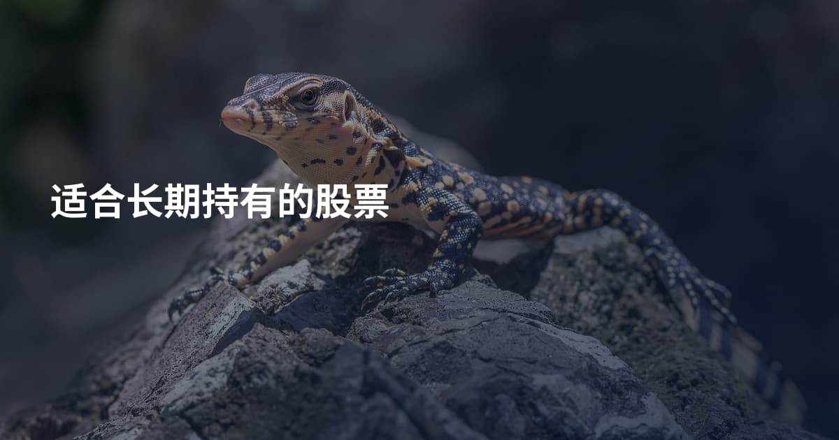 适合长期持有的股票