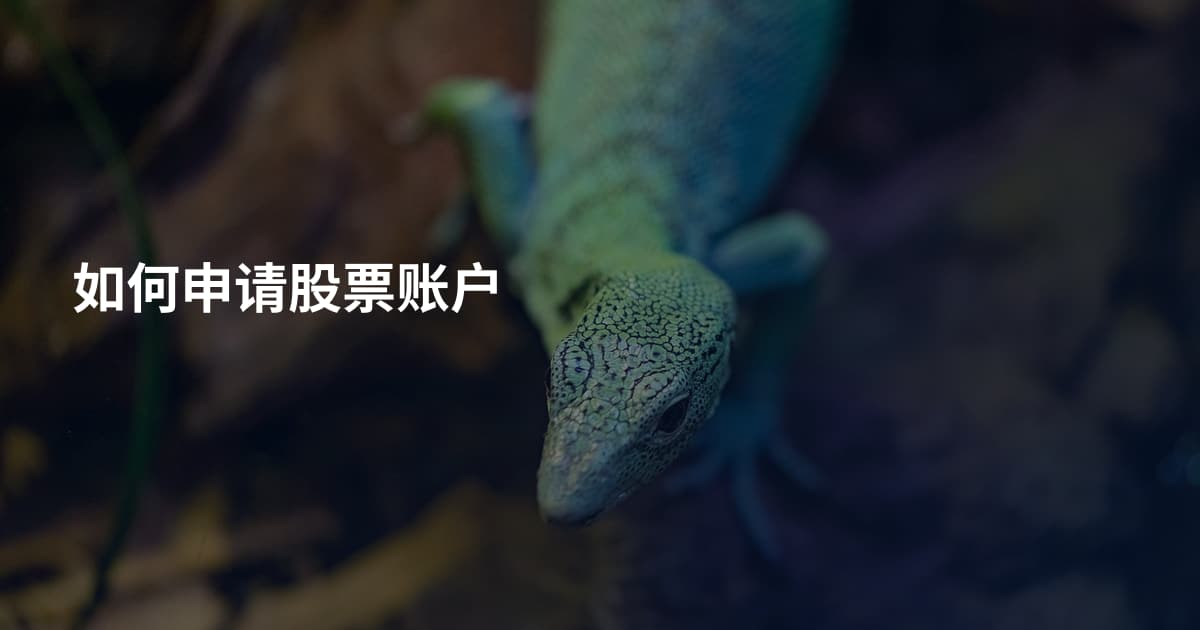 如何申请股票账户