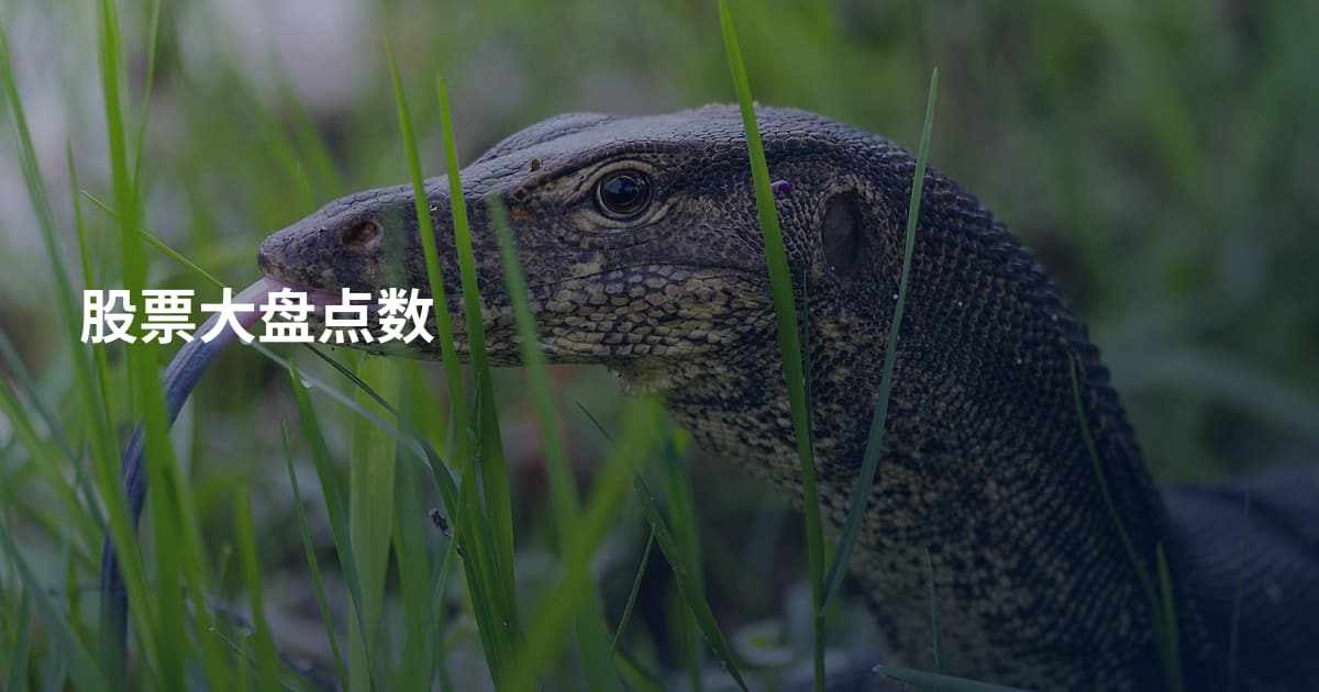 股票大盘点数