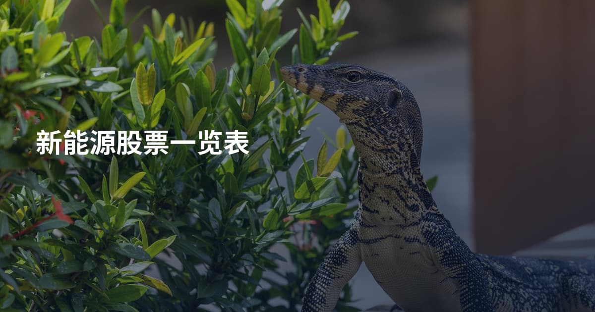 新能源股票一览表
