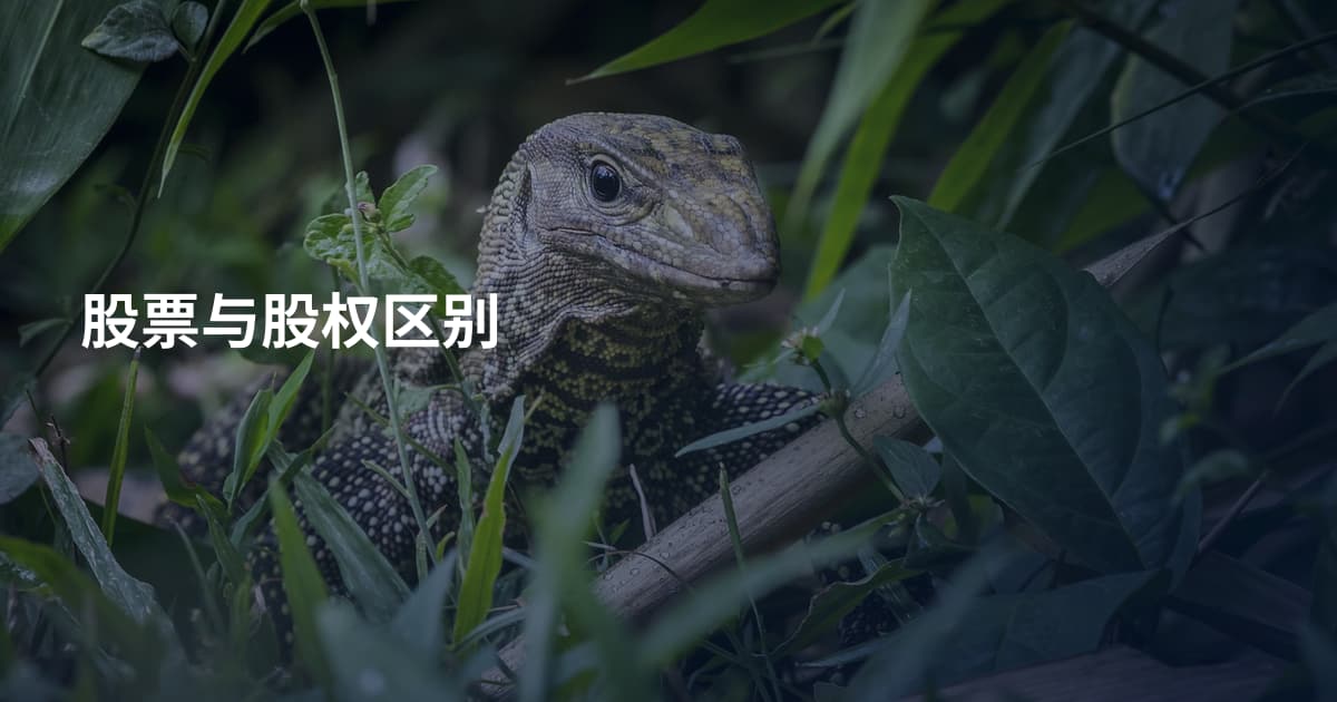 股票与股权区别
