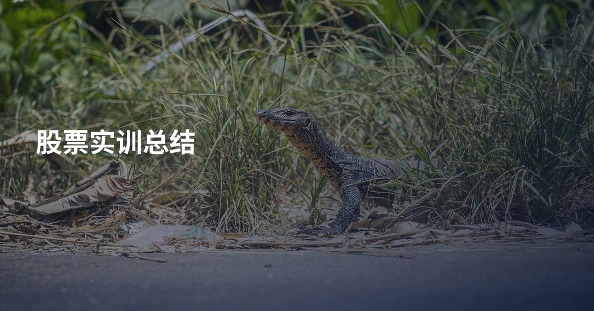 股票实训总结