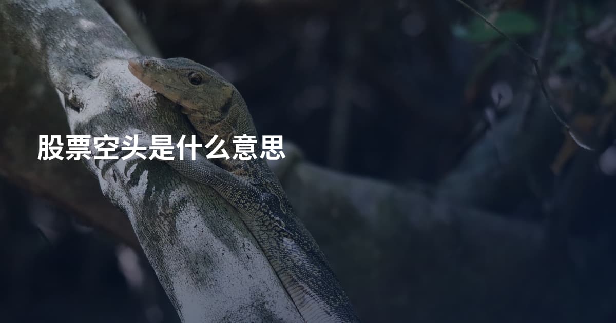 股票空头是什么意思