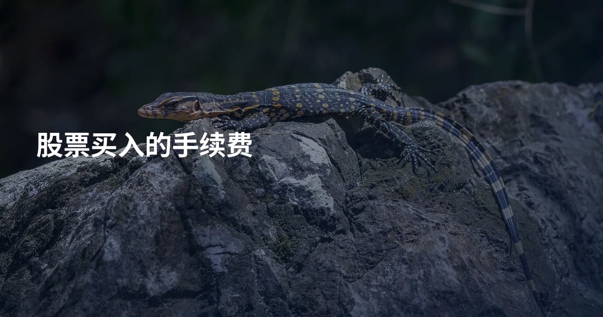 股票买入的手续费