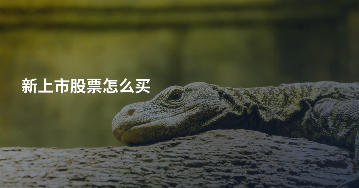 新上市股票怎么买