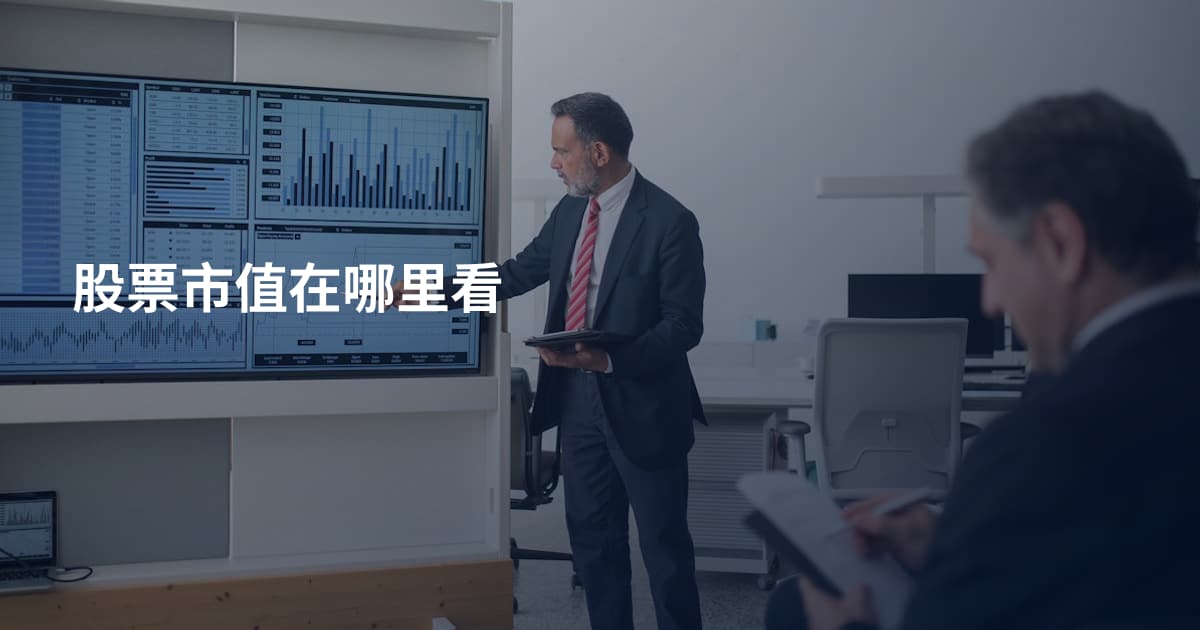 股票市值在哪里看