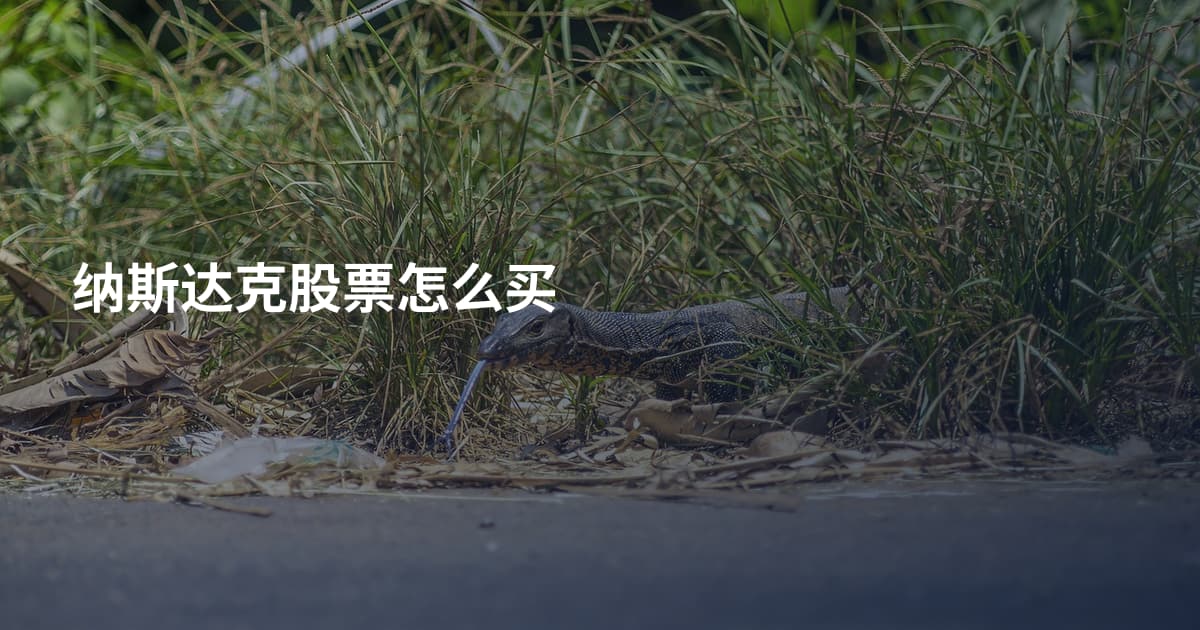 纳斯达克股票怎么买