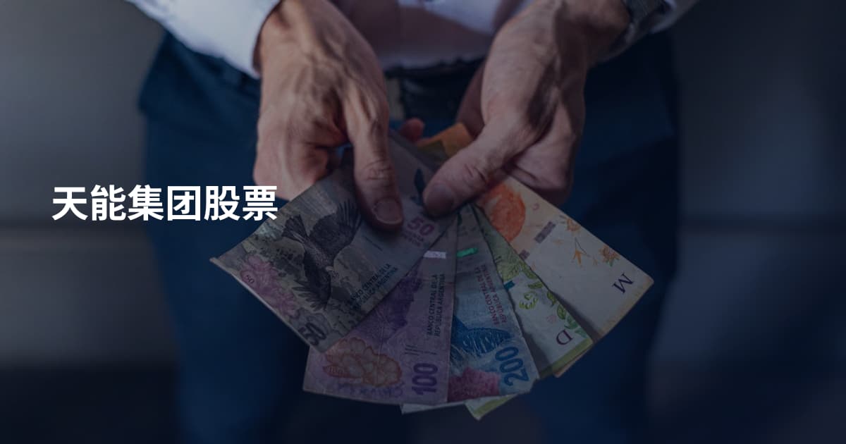 天能集团股票
