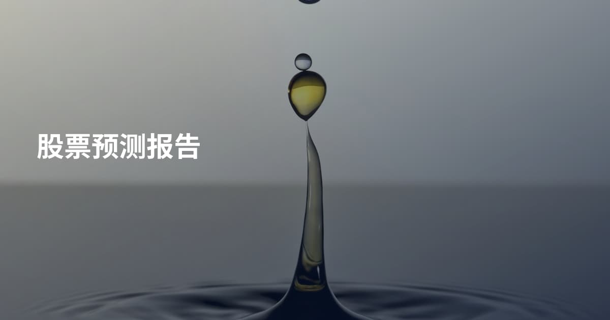 股票预测报告