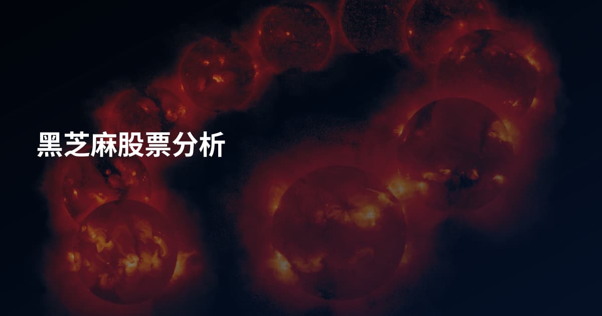 黑芝麻股票分析