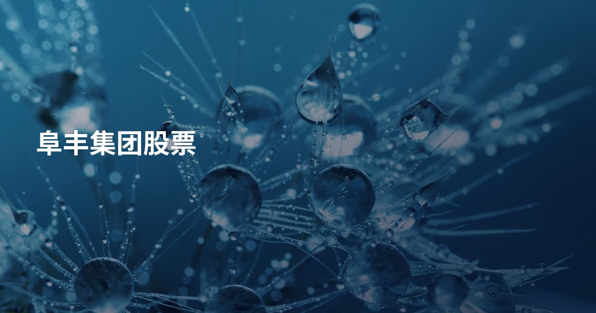 阜丰集团股票