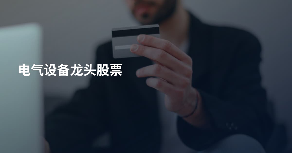 电气设备龙头股票