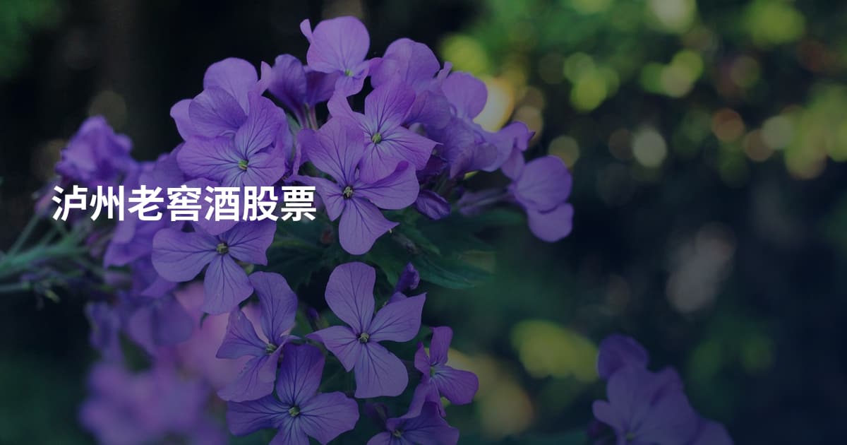泸州老窖酒股票