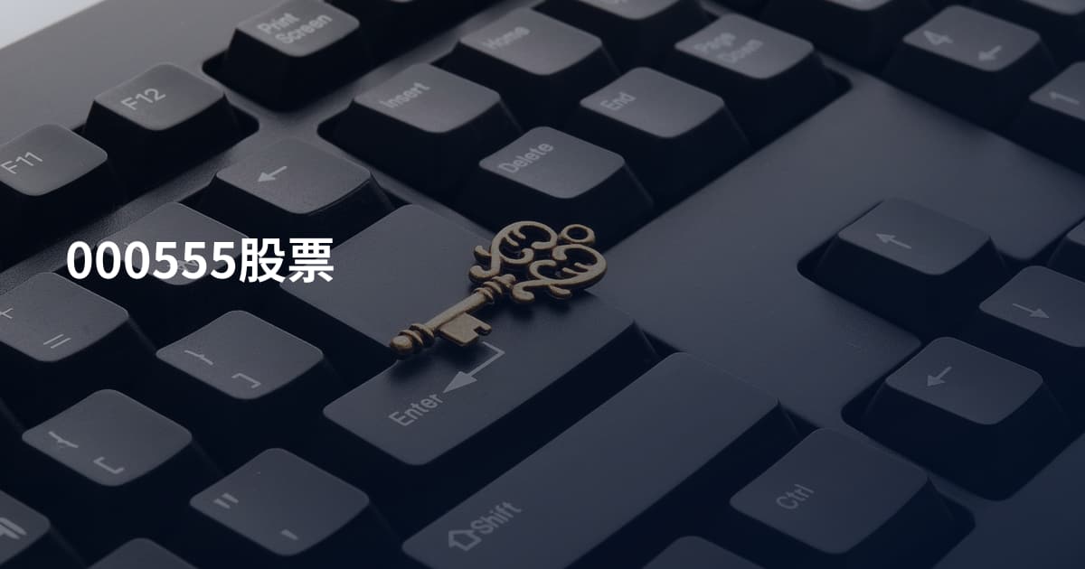 000555股票