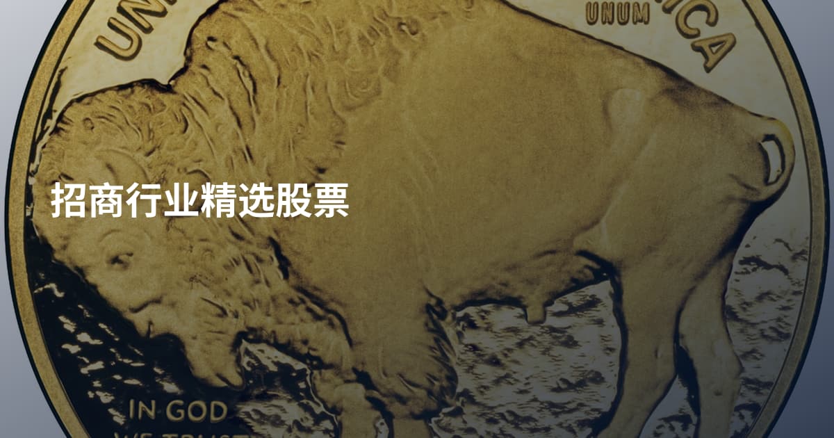 招商行业精选股票