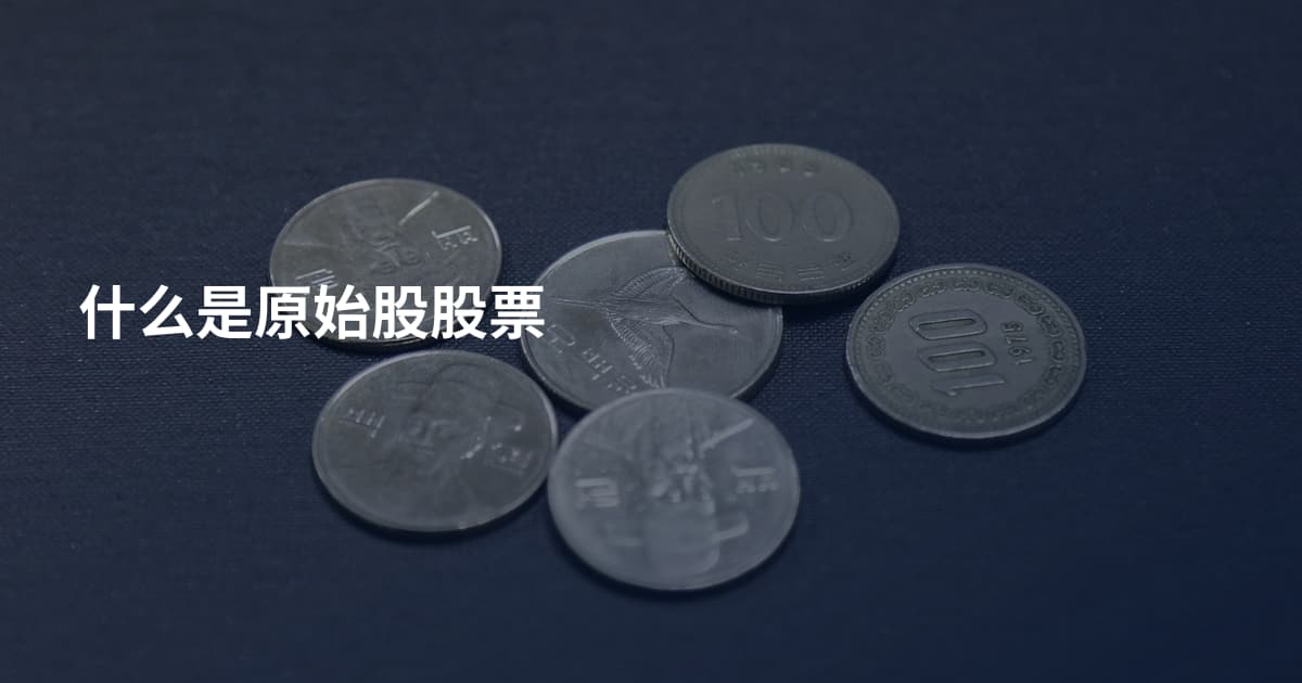 什么是原始股股票