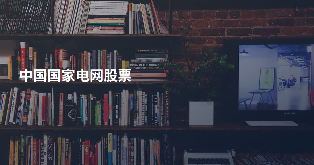 中国国家电网股票