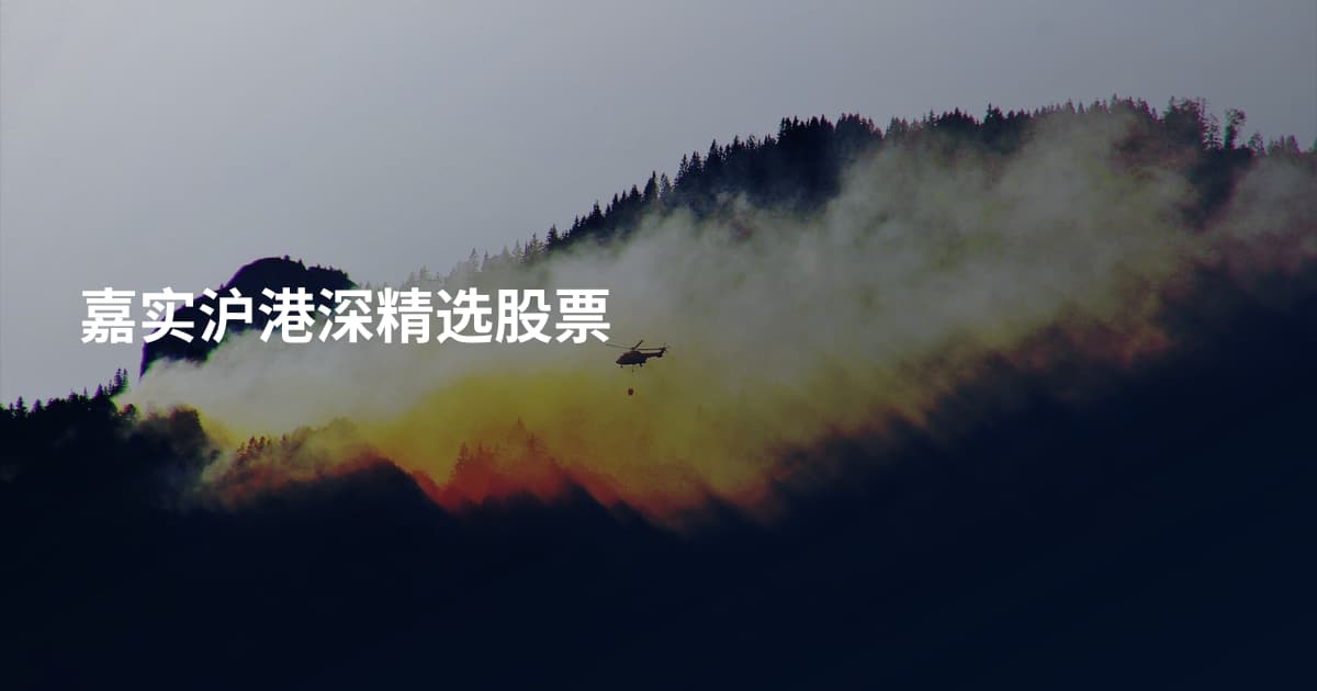 嘉实沪港深精选股票