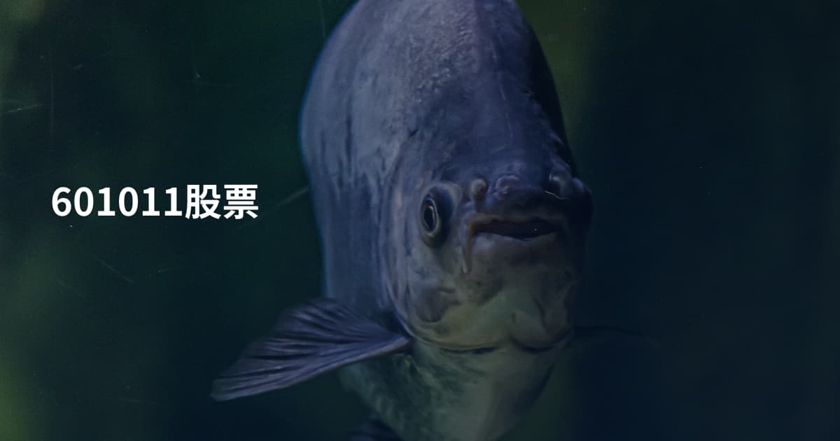601011股票