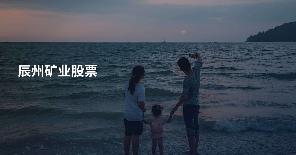 辰州矿业股票