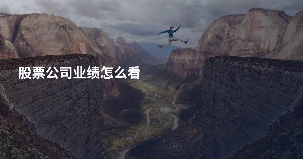 股票公司业绩怎么看