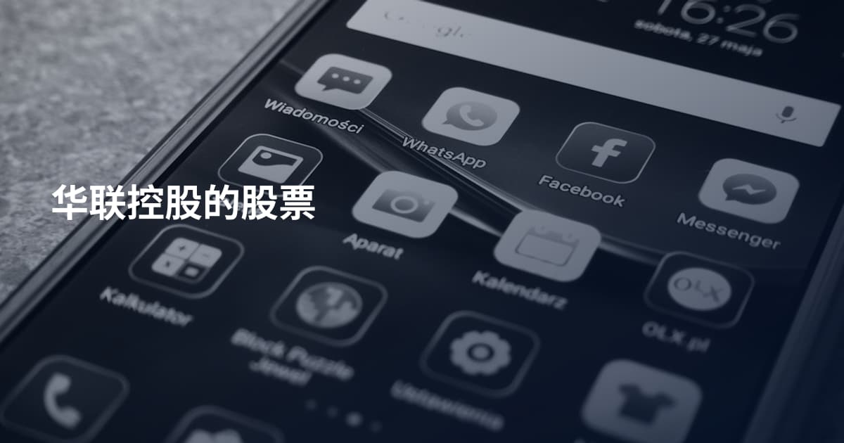 华联控股的股票