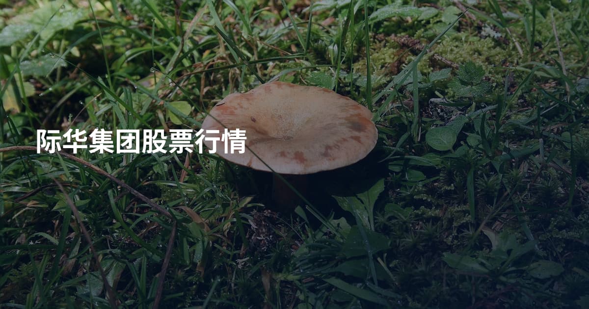 际华集团股票行情