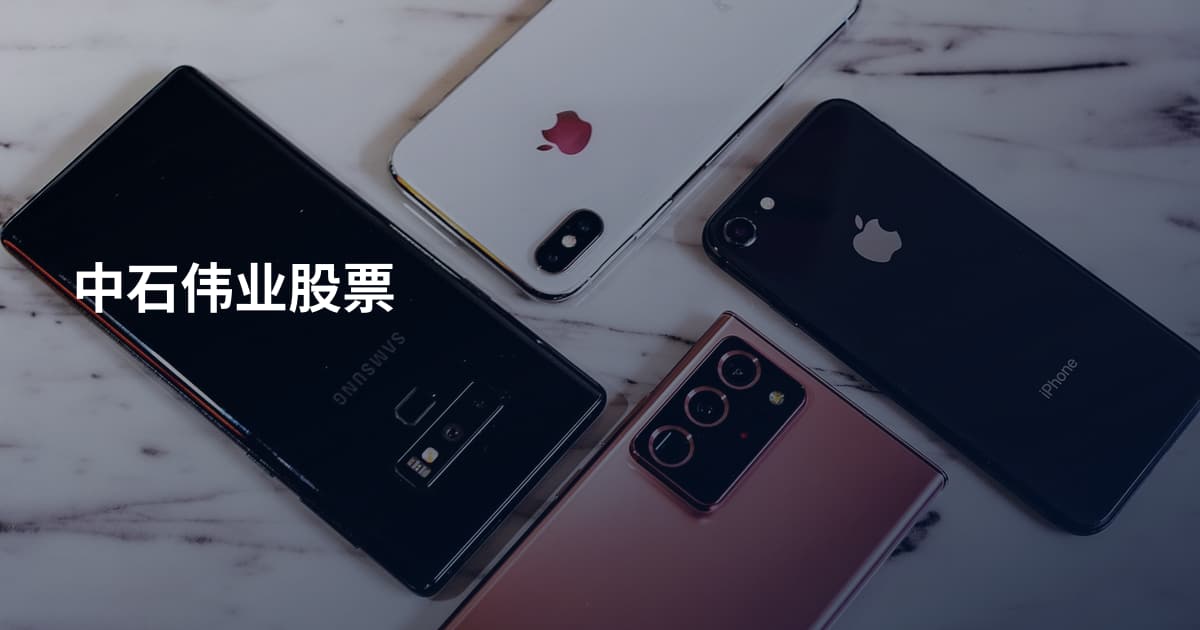 中石伟业股票